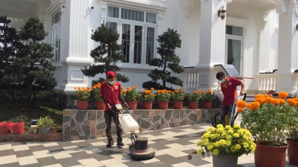 Vệ sinh nhà cửa